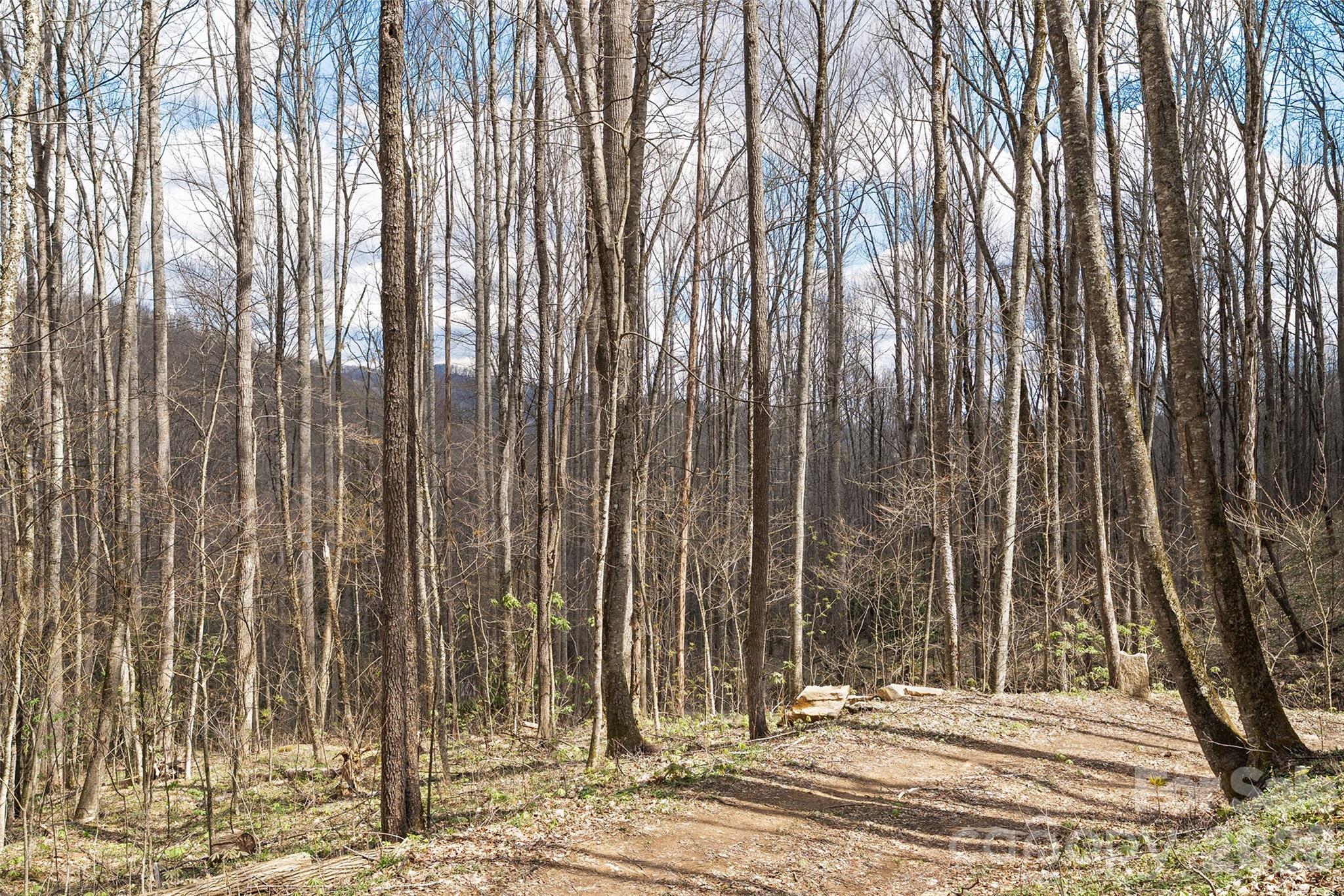 23 Forbidden Cove Waynesville, NC 28785 - Photo 11 of 18 a view of outdoor space with yard