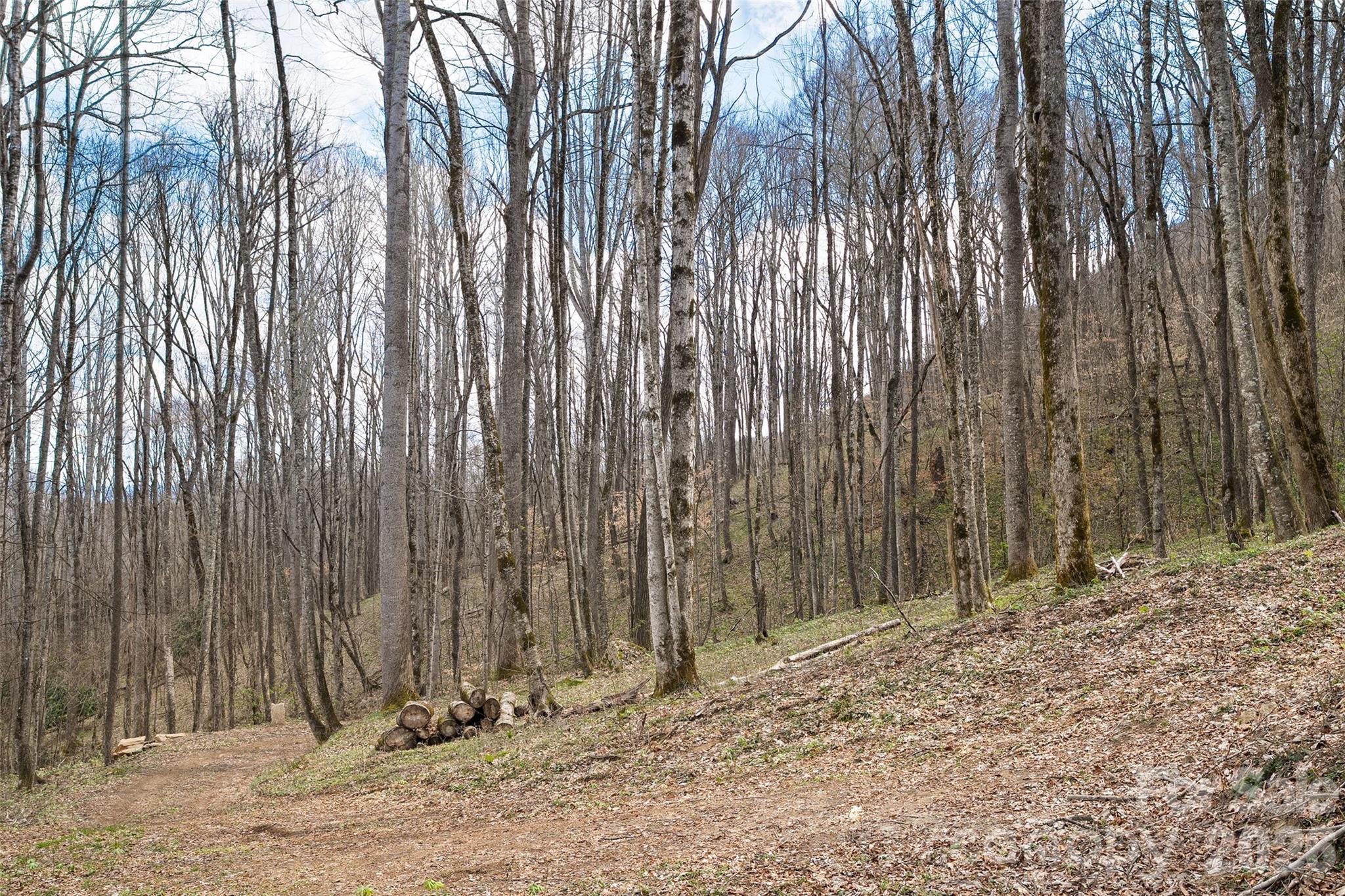 23 Forbidden Cove Waynesville, NC 28785 - Photo 12 of 18 a view of outdoor space with wooden fence