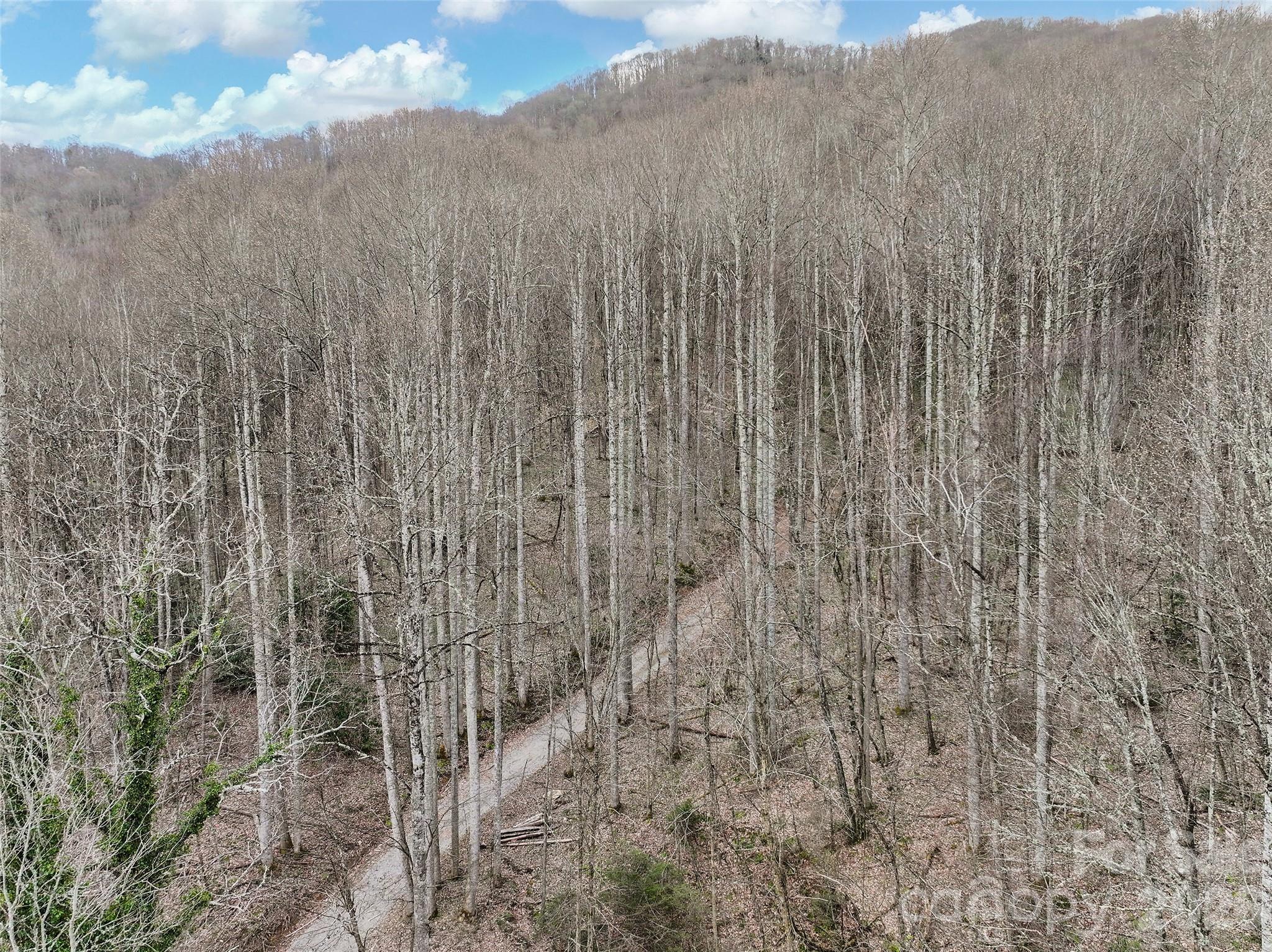 23 Forbidden Cove Waynesville, NC 28785 - Photo 17 of 18 a view of a dry yard with mountains in the background