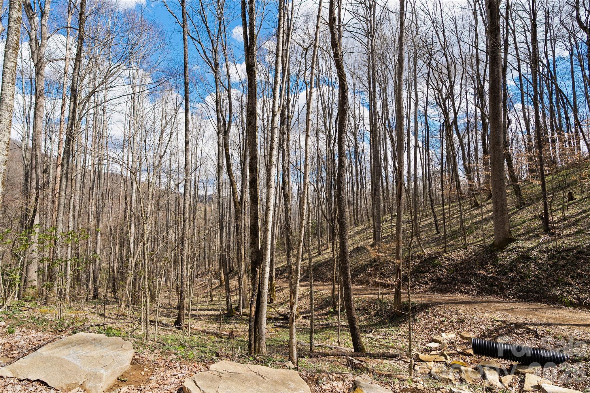 23 Forbidden Cove Waynesville, NC 28785 - Photo 2 of 18