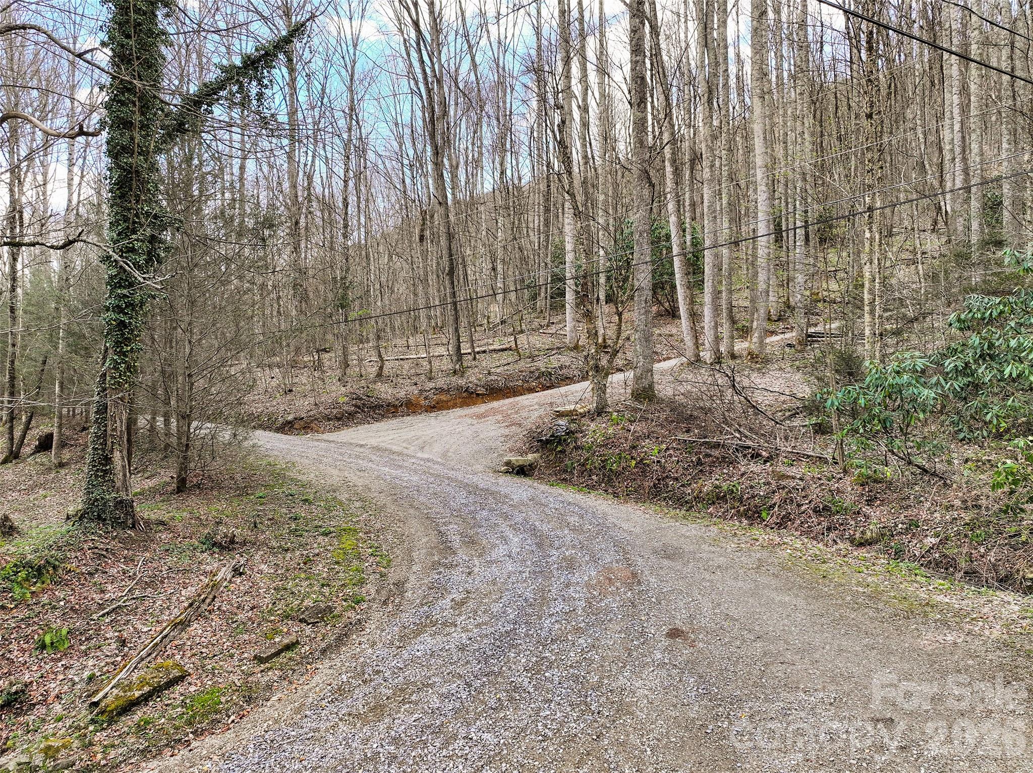 23 Forbidden Cove Waynesville, NC 28785 - Photo 3 of 18 a view of a backyard with trees