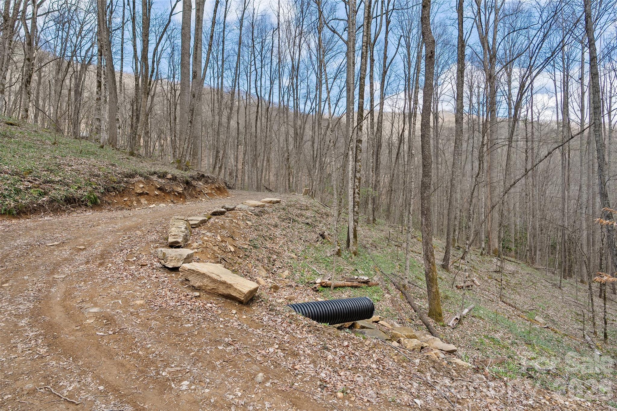 23 Forbidden Cove Waynesville, NC 28785 - Photo 4 of 18 a view of a backyard with wooden fence