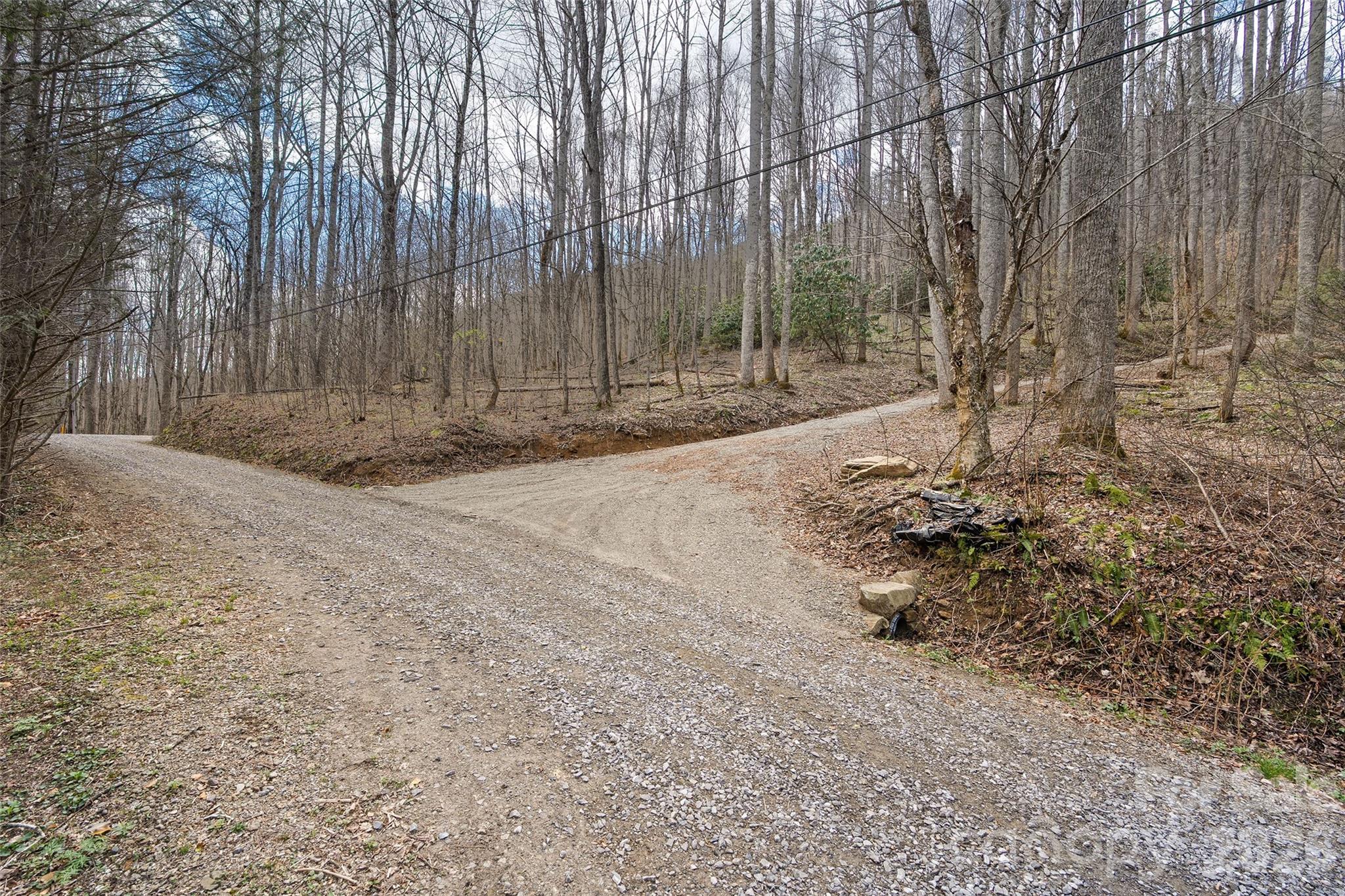 23 Forbidden Cove Waynesville, NC 28785 - Photo 5 of 18 a view of a backyard with large trees