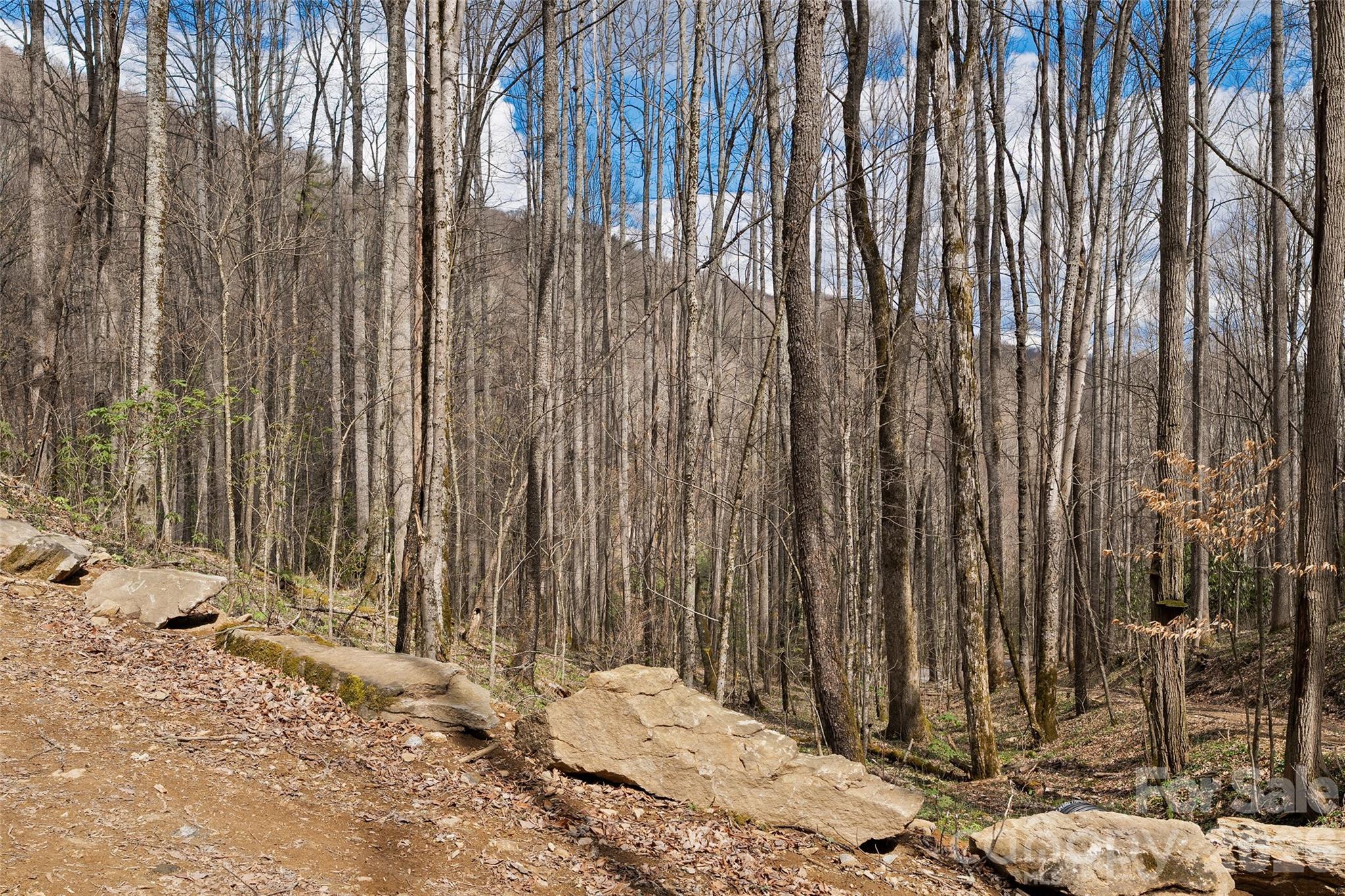23 Forbidden Cove Waynesville, NC 28785 - Photo 6 of 18 a view of wooden fence