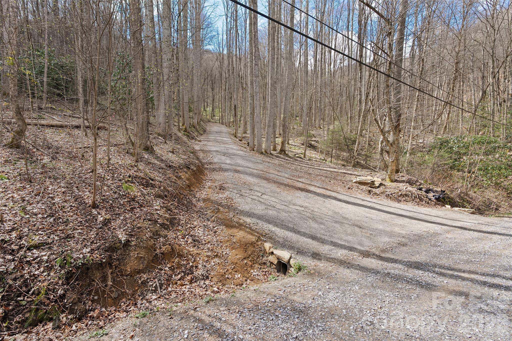 23 Forbidden Cove Waynesville, NC 28785 - Photo 7 of 18 a view of a backyard with trees