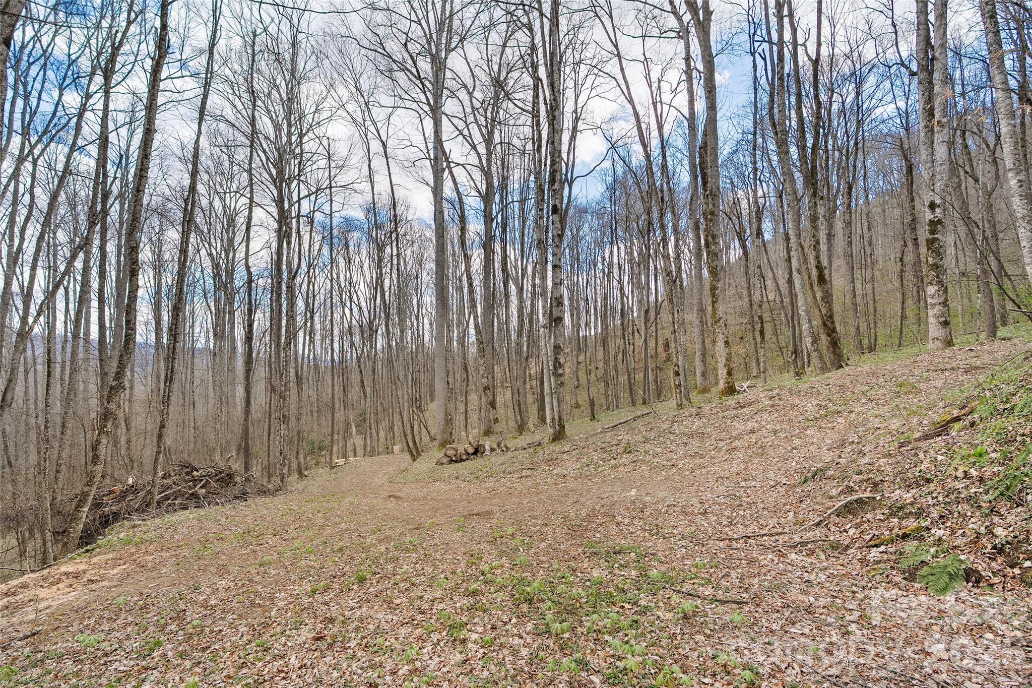 23 Forbidden Cove Waynesville, NC 28785 - Photo 8 of 18 a view of wooden fence