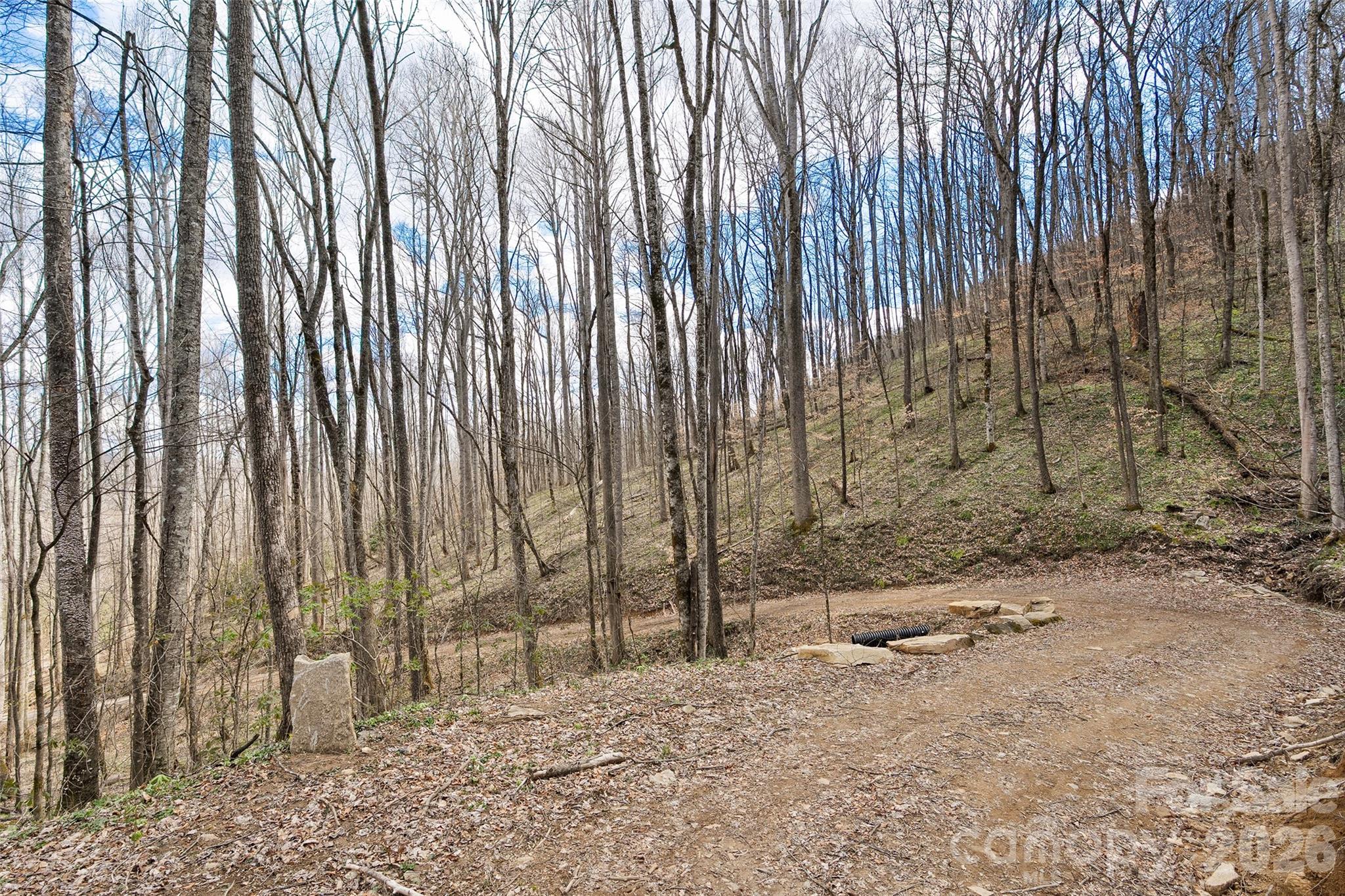 23 Forbidden Cove Waynesville, NC 28785 - Photo 10 of 18 a view of a backyard with trees