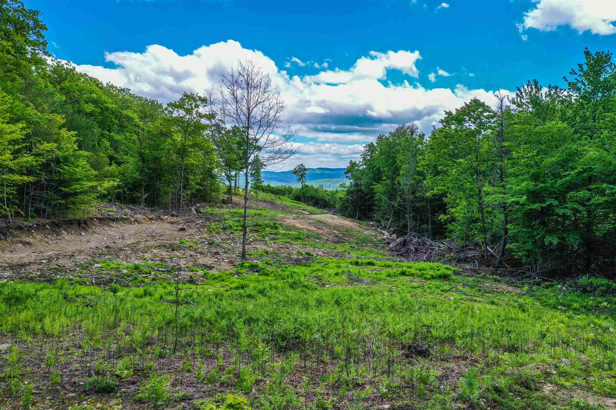 Meadow Road Newbury, NH 03255 - Photo 4 of 5