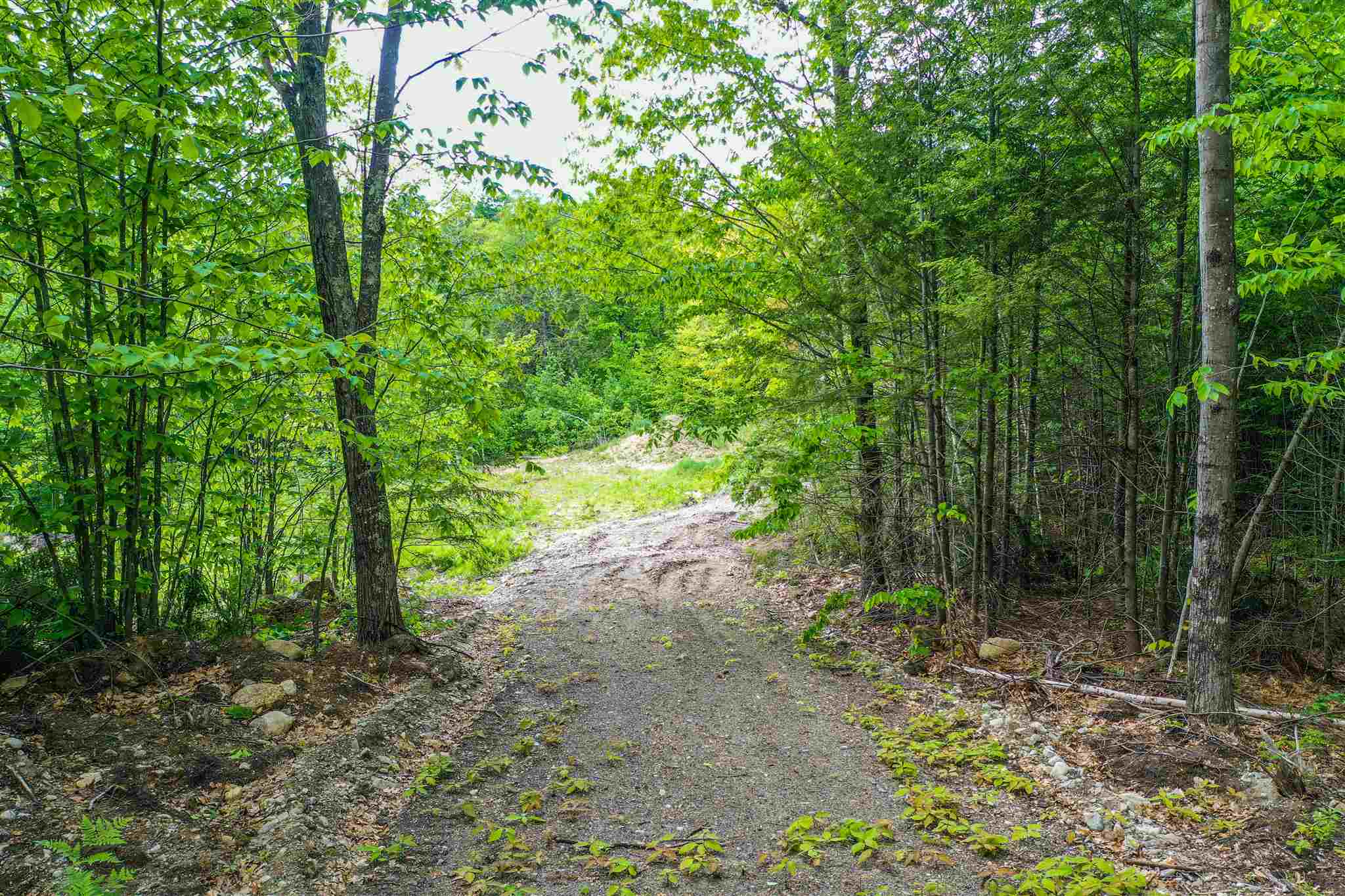 Meadow Road Newbury, NH 03255 - Photo 5 of 5