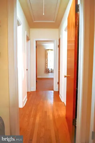 a view of a hallway with wooden floor and cabinet
