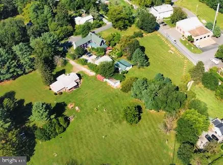 a close up of a white flower in a garden