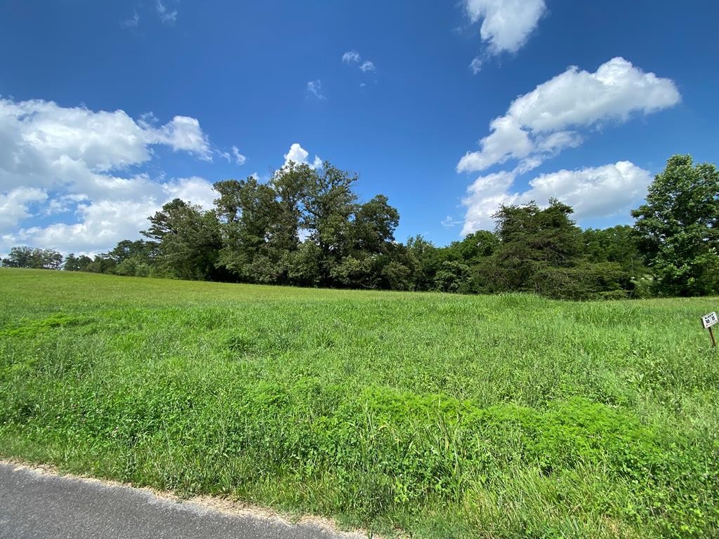 16 Buttercup Way Newport, TN 37821 - Photo 1 of 7