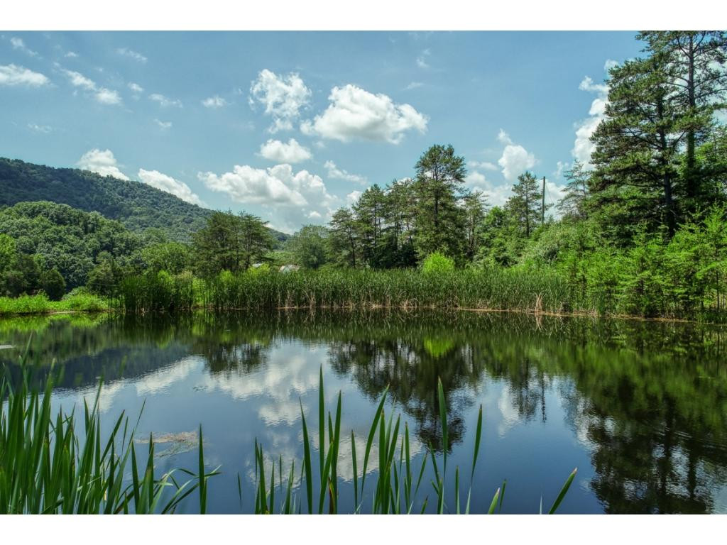 922 Butcher Valley Road Rogersville, TN 37857 - Photo 11 of 36 Photo 11