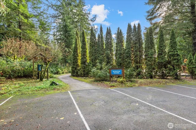 a view of a bunch of trees