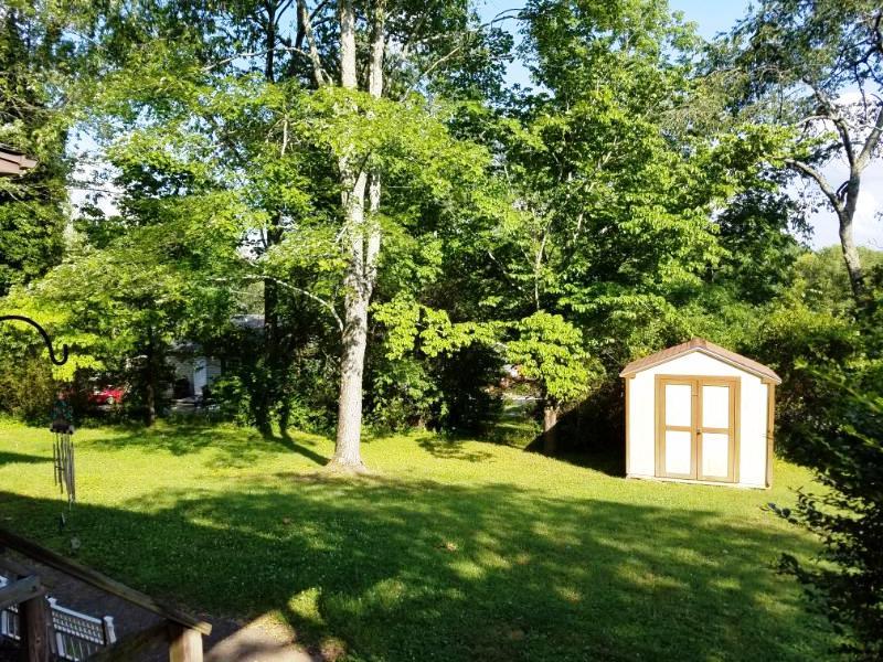103 Cedar Lane Oak Ridge, TN 37830 - Photo 16 of 18 Wonderful yard!