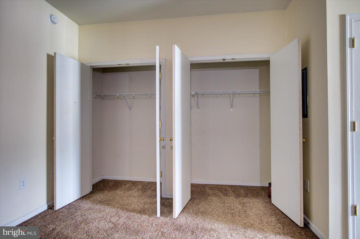 316 Bridge Street, Unit D Phoenixville, PA 19460 - Photo 13 of 46 Two of the Four huge Closets