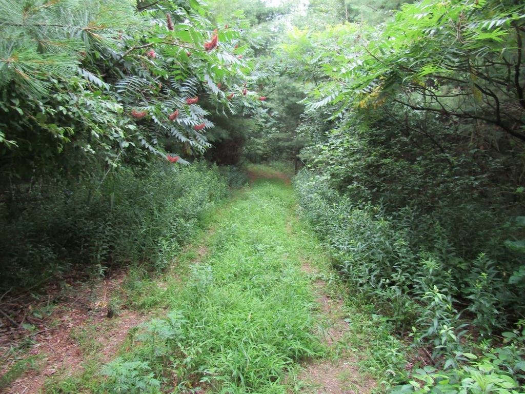 Lot 2 Champlain Commons St. Albans, VT 05478 - Photo 14 of 19