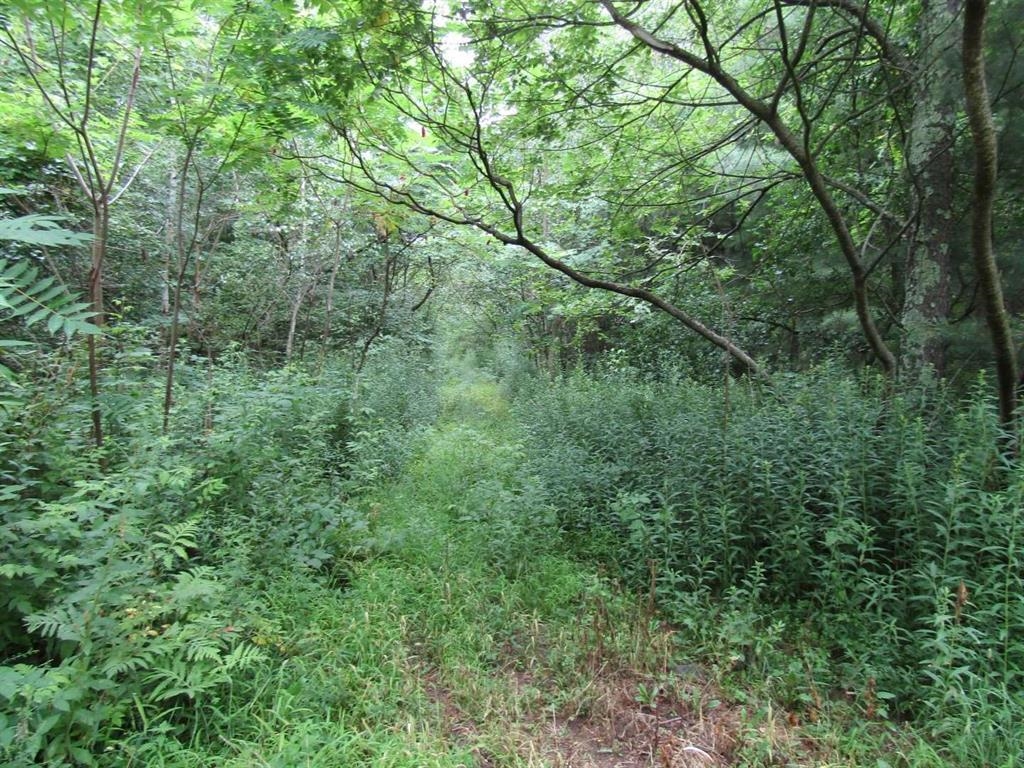 Lot 2 Champlain Commons St. Albans, VT 05478 - Photo 15 of 19