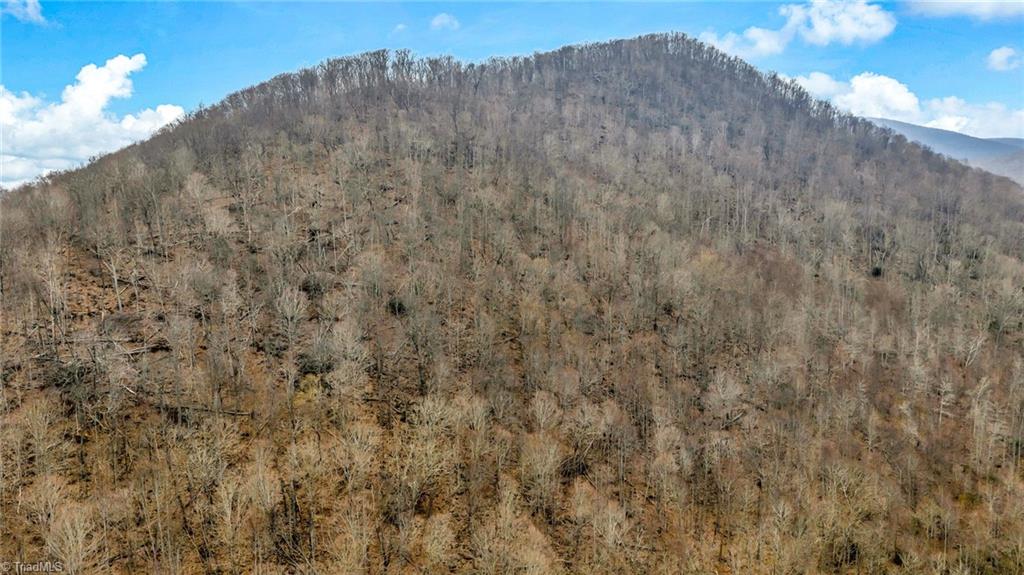 1 Three Top Road Todd, NC 28684 - Photo 13 of 27 Gallery Image 13