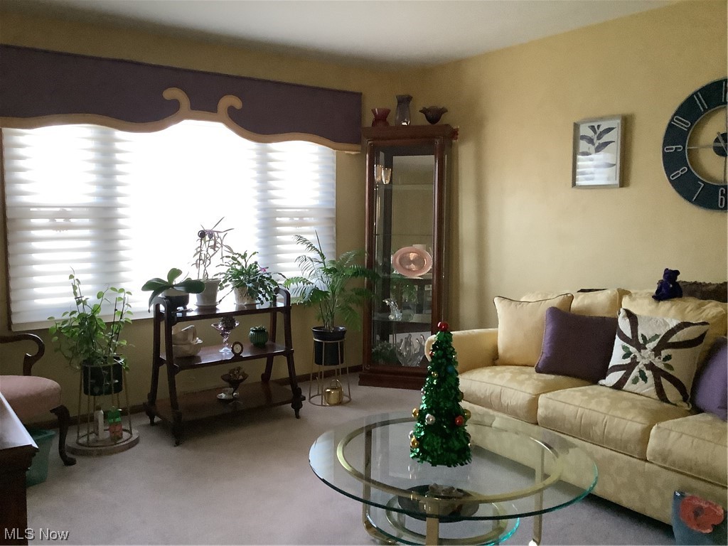 2320 South Meridian Road Austintown, OH 44511 - Photo 8 of 24 View of carpeted living room