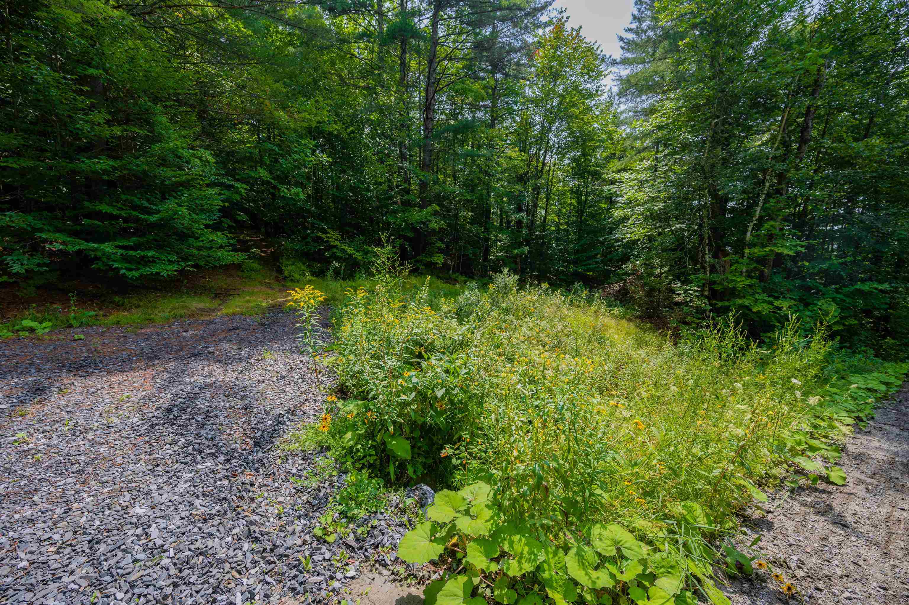0 Hampshire Hill Road Worcester, VT 05682 - Photo 2 of 31