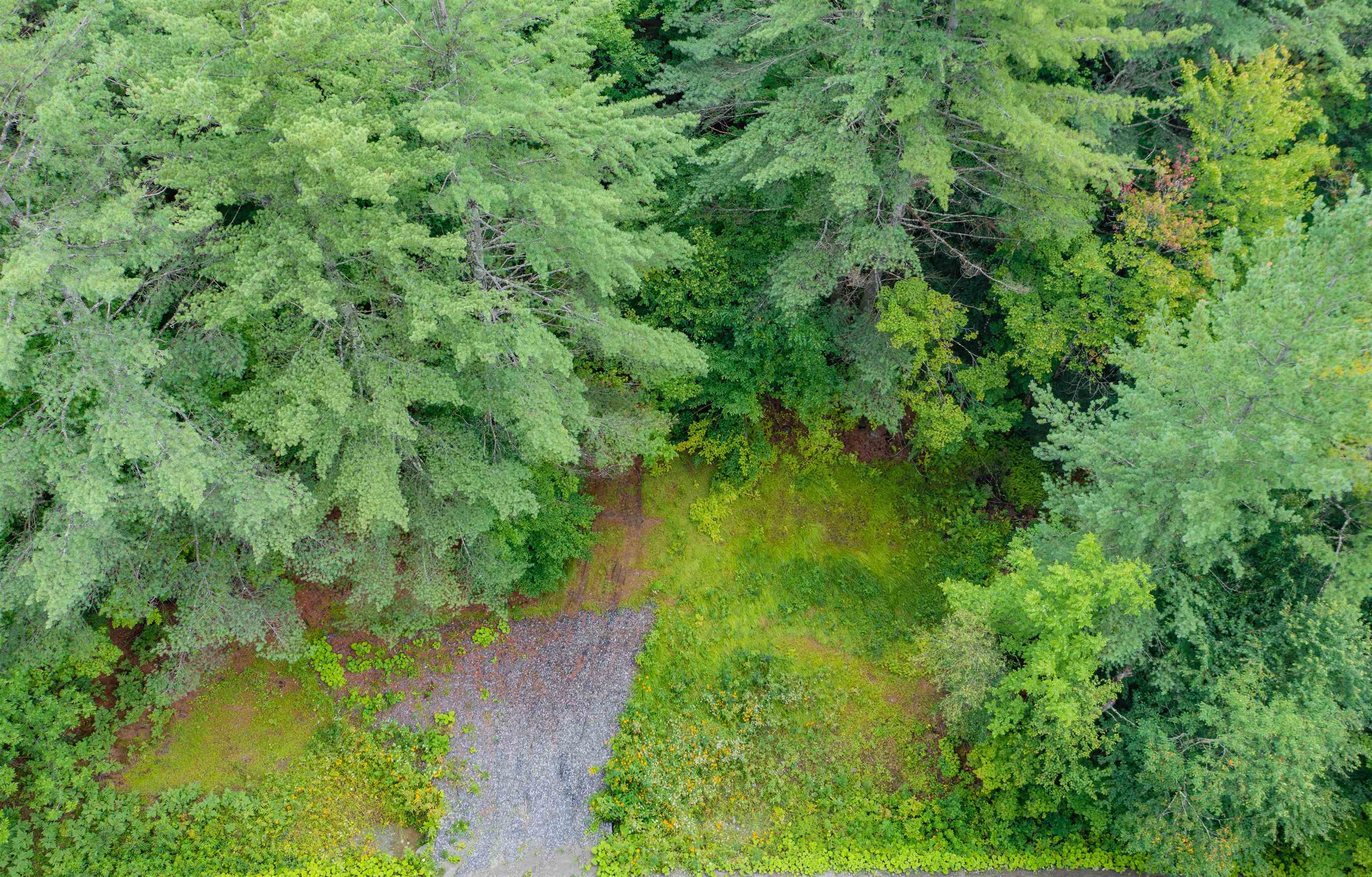 0 Hampshire Hill Road Worcester, VT 05682 - Photo 5 of 31