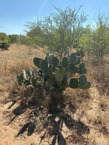 a view of lake with green space