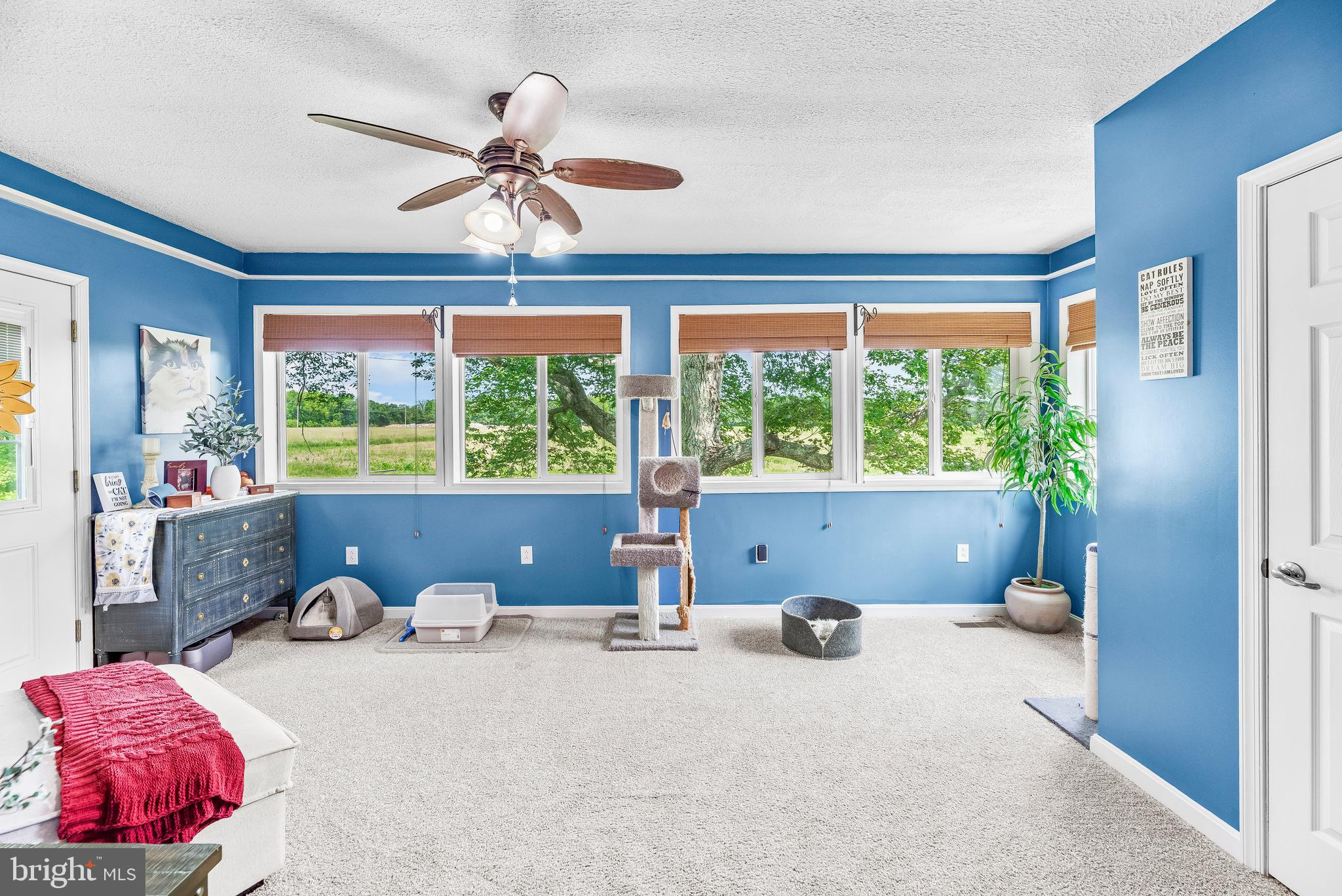 9665 Brunswick Road Faulkner, MD 20632 - Photo 15 of 43 Gallery Image 15