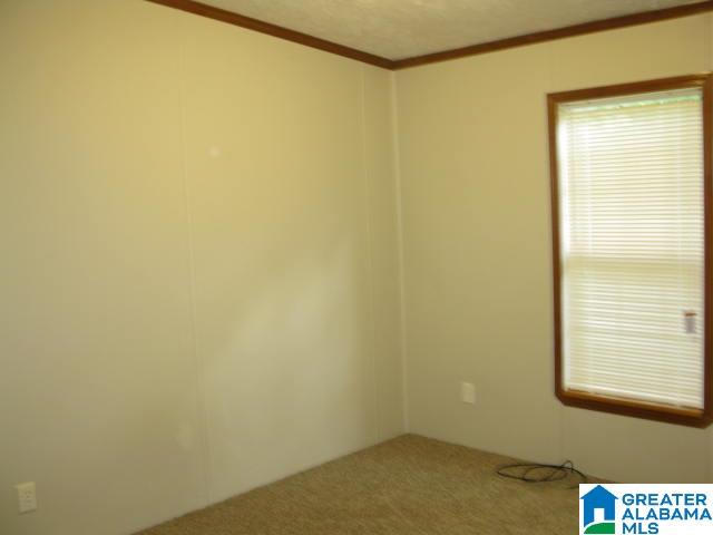 5652 Hicks Chapel Road Mount Olive, AL 35117 - Photo 12 of 24
