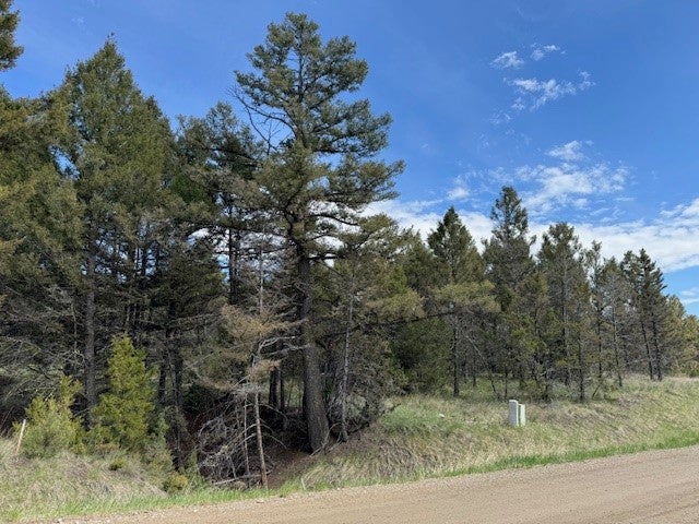 704 Flint View Road Deer Lodge, MT 59722 - Photo 7 of 20 Gallery Image 7