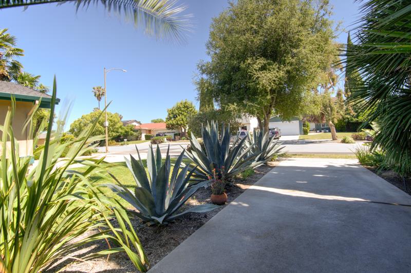 1441 Goldenlake Road San Jose, CA 95131 - Photo 6 of 31