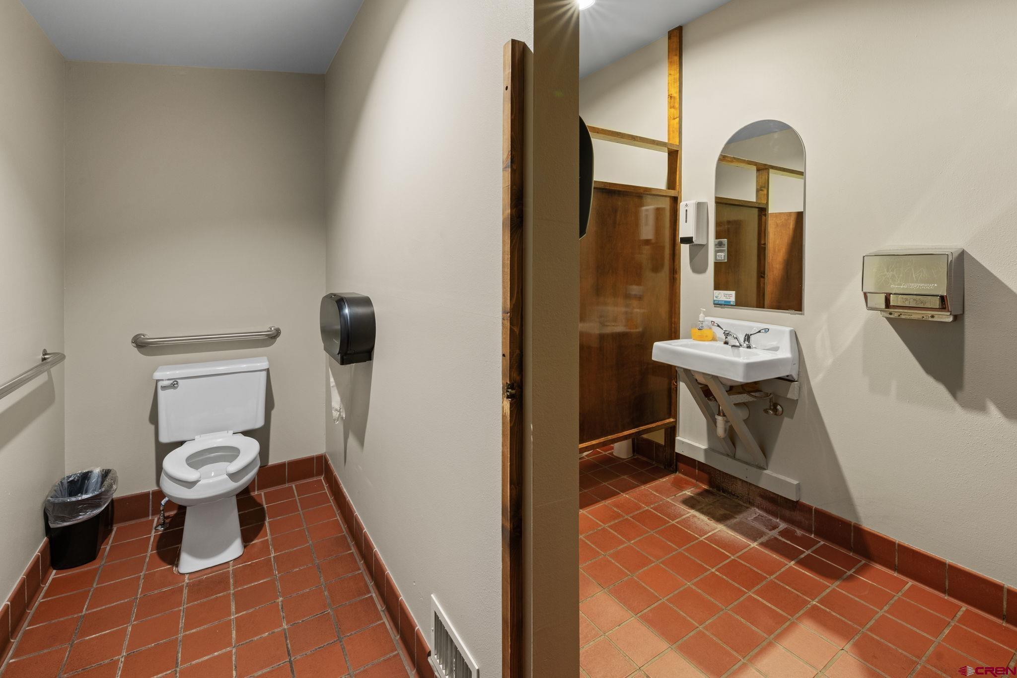 207 Elcho Avenue, Unit 14 Crested Butte, CO 81224 - Photo 25 of 34 a bathroom with a toilet a sink and mirror