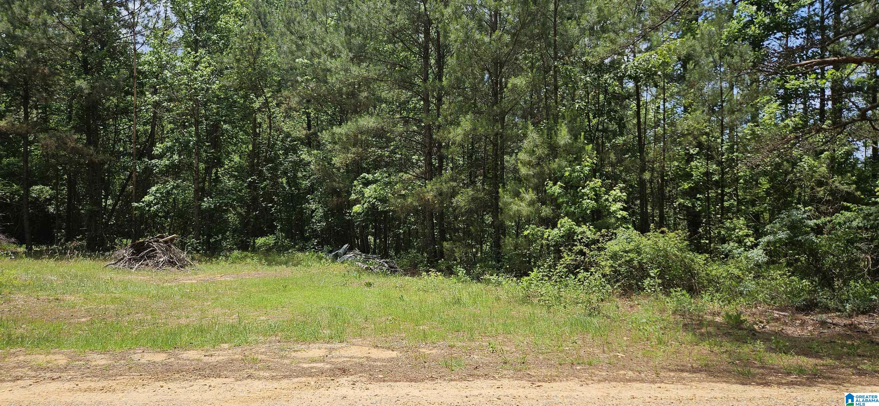 2304 Co Road, Unit 341 Maplesville, AL 36750 - Photo 2 of 2