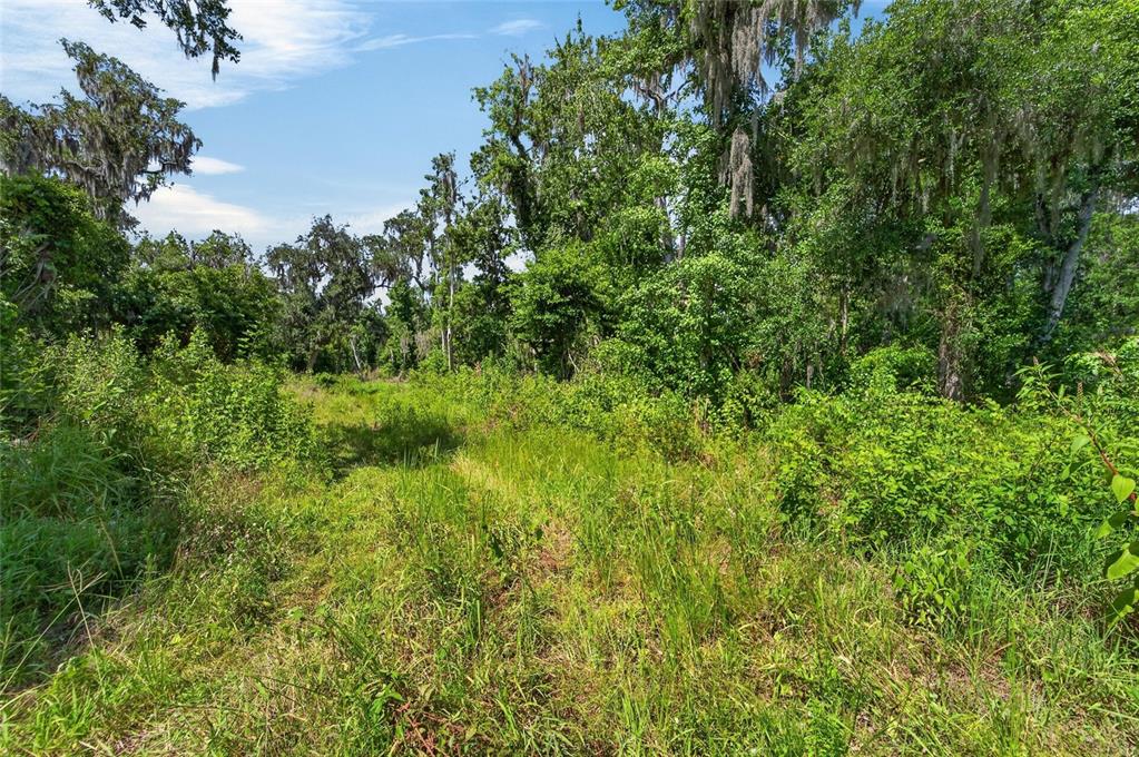 672 Highway Lithia Lithia, FL 33547 - Photo 20 of 24