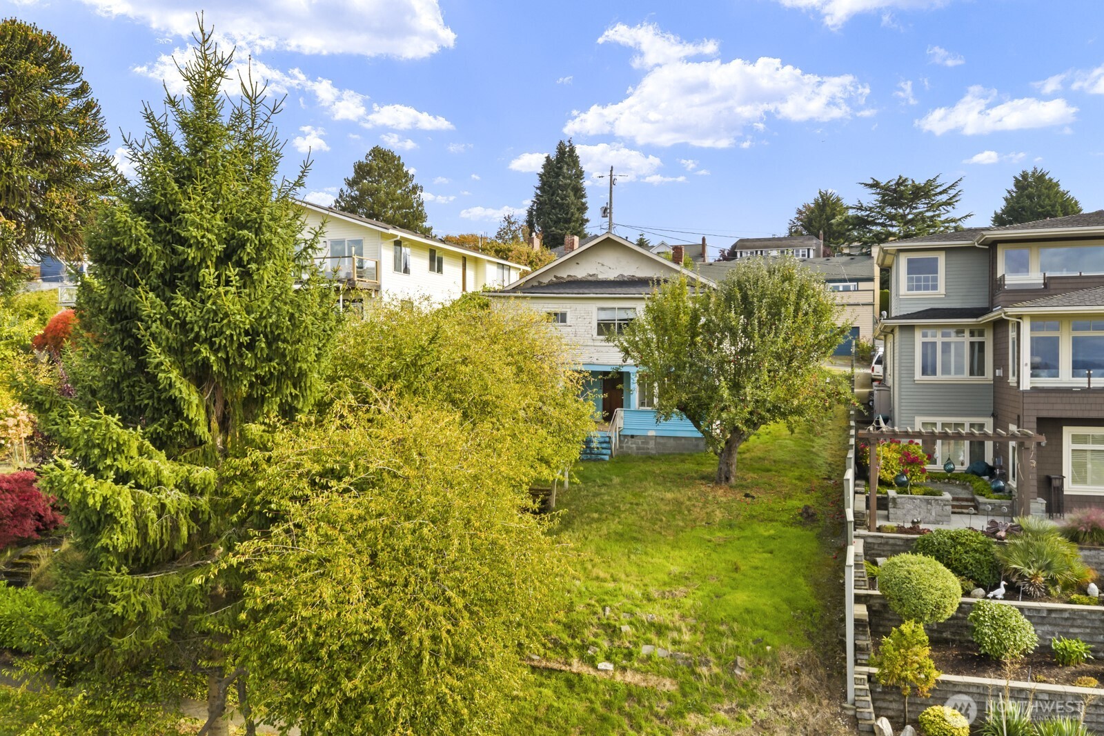 4812 46th Avenue Southwest Seattle, WA 98116 - Photo 2 of 26 a view of a yard with plants and large trees