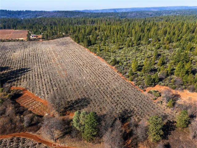 $75,000 | 0 Doe Mill Road, Forest Ranch, CA 95942