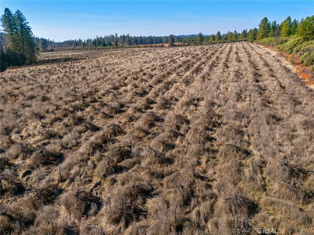 $75,000 | 0 Doe Mill Road, Forest Ranch, CA 95942