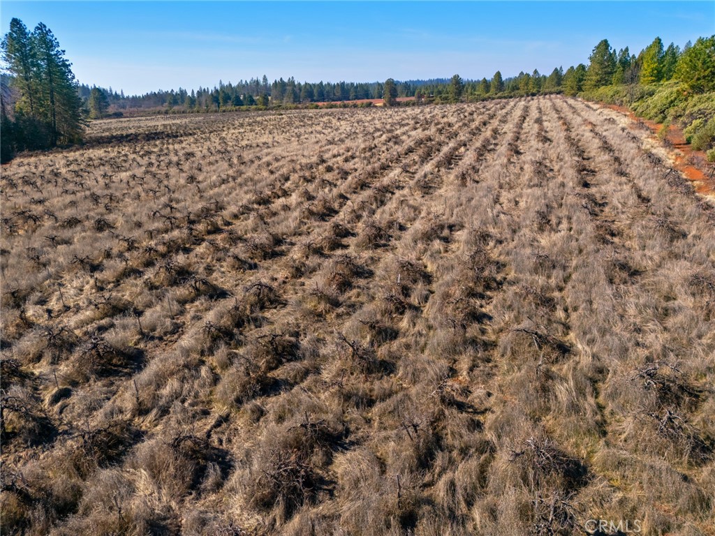 0 Doe Mill Road Forest Ranch, CA 95942 - Photo 3 of 13