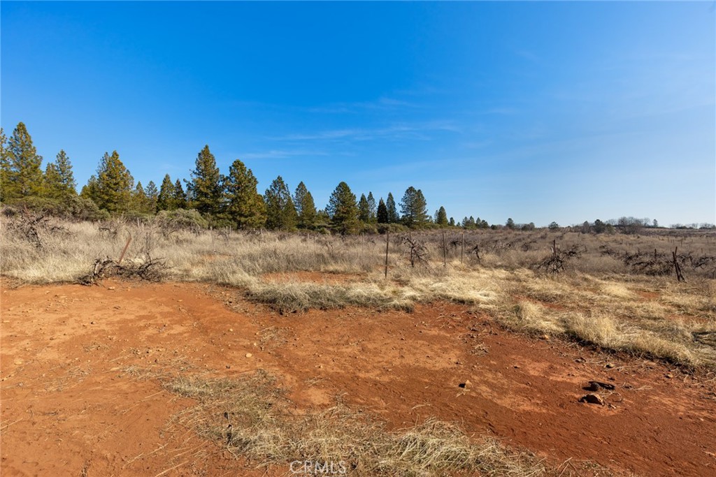 0 Doe Mill Road Forest Ranch, CA 95942 - Photo 4 of 13
