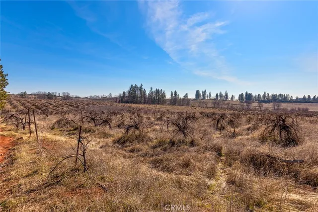 $75,000 | 0 Doe Mill Road, Forest Ranch, CA 95942