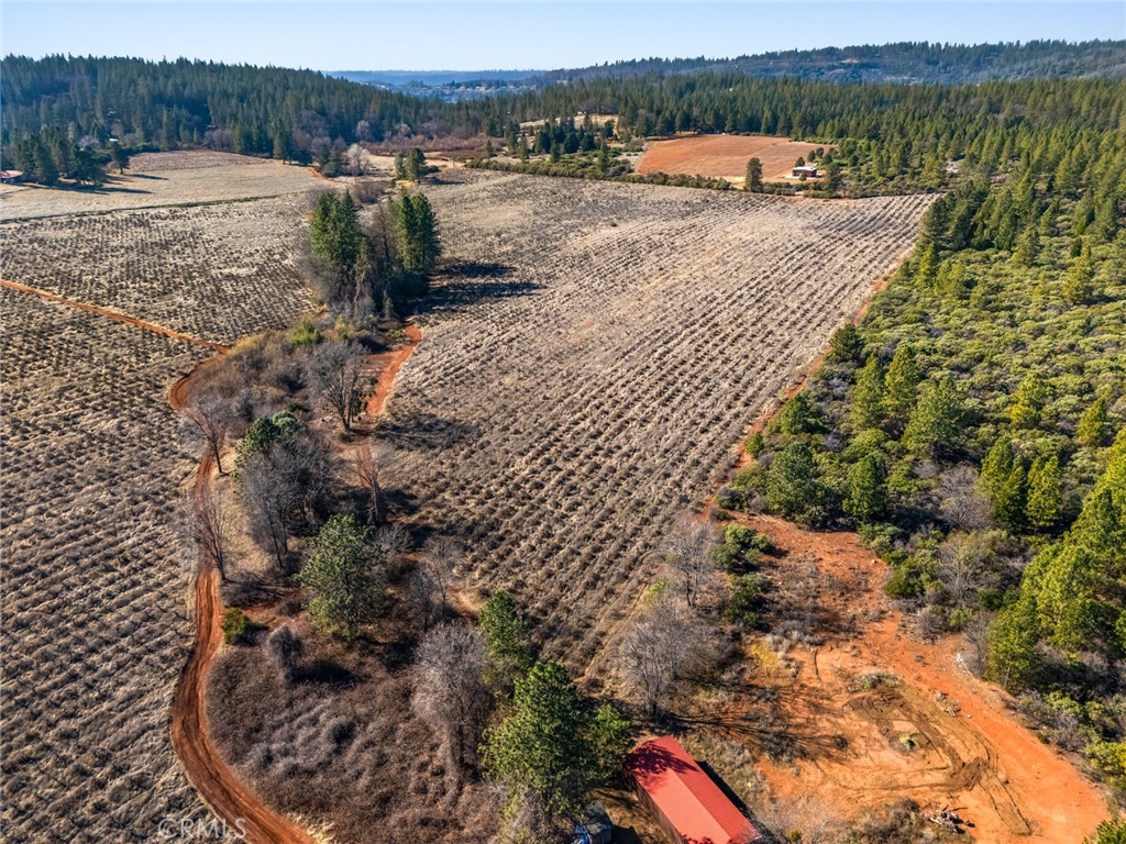 0 Doe Mill Road Forest Ranch, CA 95942 - Photo 10 of 13