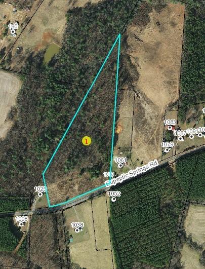 1047 Eupeptic Springs Road Olin, NC 28660 - Photo 1 of 1 Gallery Image 1