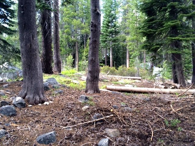 21227 Donner Pass Road Soda Springs, CA 95728 - Photo 3 of 7 Gallery Image 3