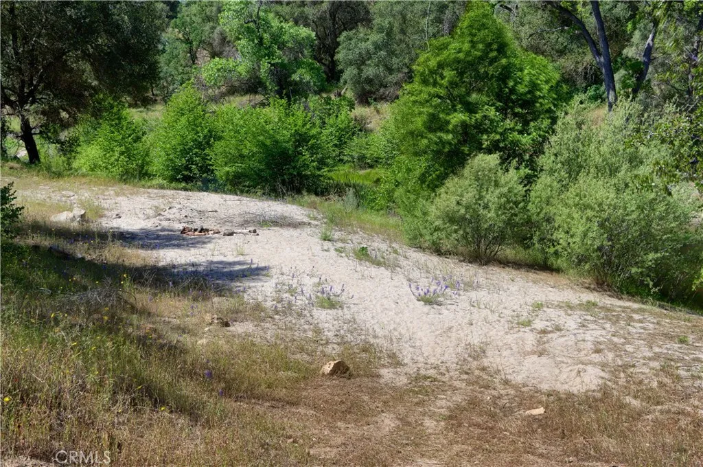 80 Polk Ranch Road Coarsegold, CA 93614 - Photo 4 of 31 Your own Beach overlooking the River.