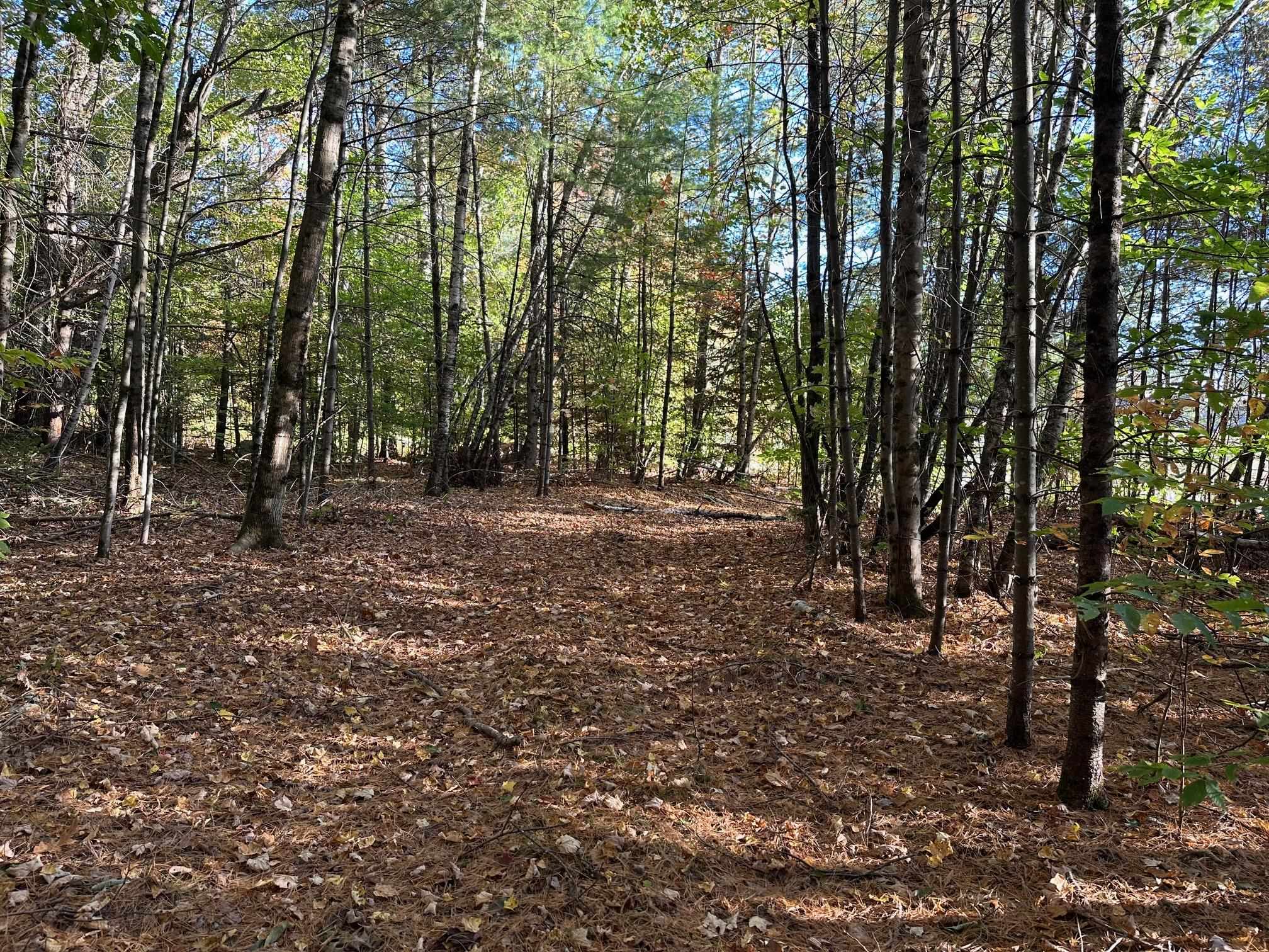 19 Sunrise Hill Road Thornton, NH 03285 - Photo 1 of 9