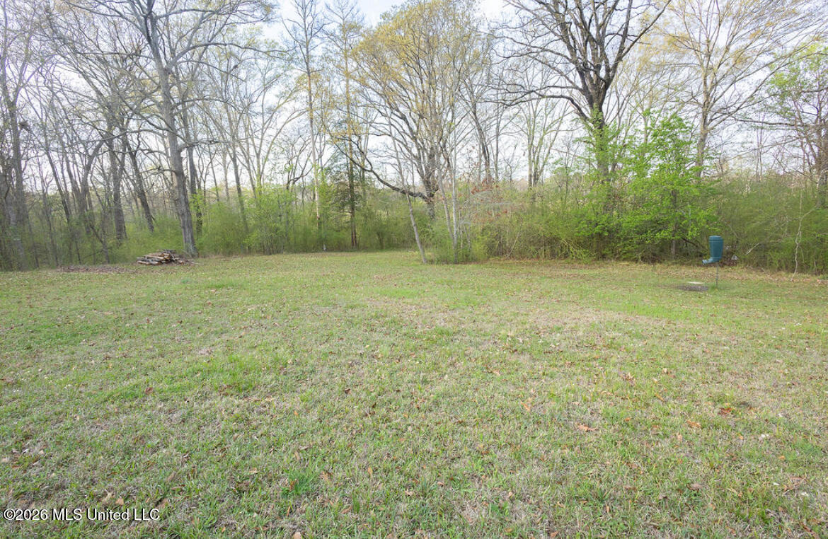 144 Plummer Circle Jackson, MS 39209 - Photo 29 of 36 IMG_1204