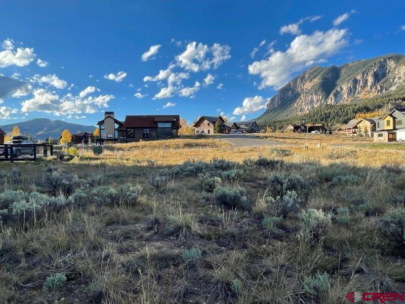 84 Chestnut Lane Crested Butte, CO 81224 - Photo 6 of 28 a view of a yard with large trees