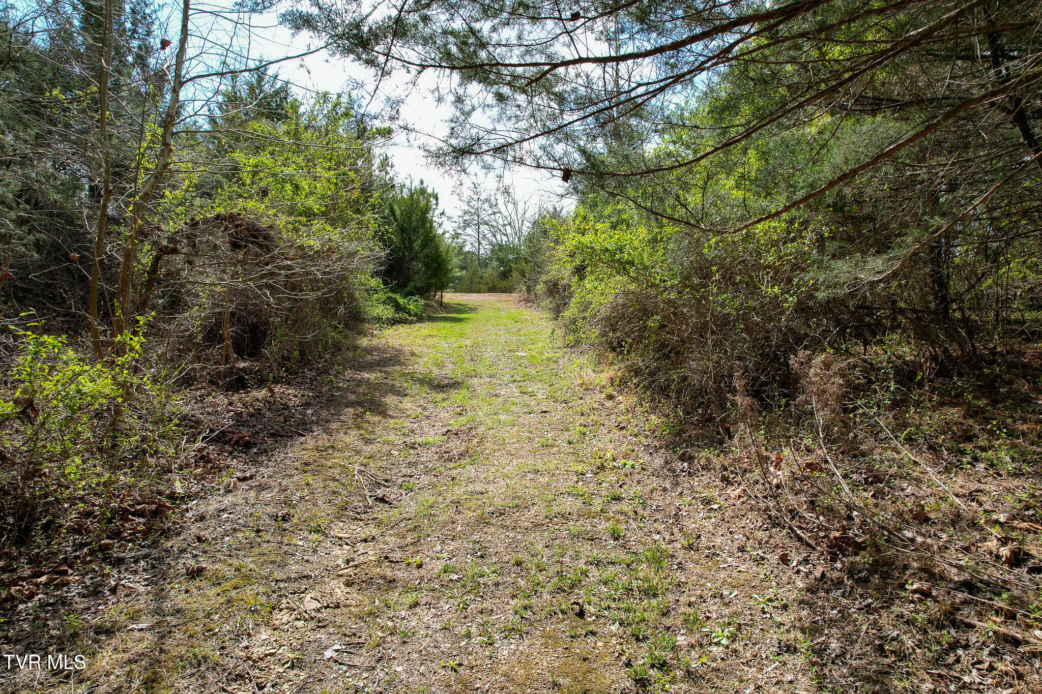 480 Obe Kirk Loop Mohawk, TN 37810 - Photo 49 of 54 DJI_0181