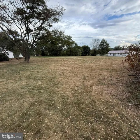 a view of a yard with trees