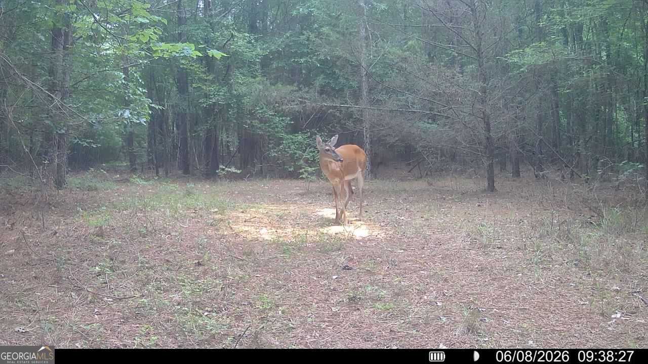 1 Bethesda Church Road Lexington, GA 30648 - Photo 43 of 78